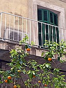 ID: 209: Rundgang / Palma / 18.05.2018