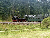 ID: 209: DR 99 1590-1 / Schmalzgrube / 04.08.2018