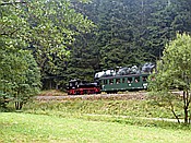 ID: 209: DR 99 1590-1 / Schmalzgrube / 04.08.2018
