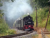 ID: 209: DR 99 1590-1 / Schmalgrube / 04.08.2018