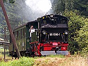 ID: 209: DR 99 1590-1 / Schmalzgrube / 04.08.2018