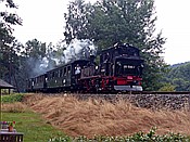 ID: 209: DR 99 1590-1 / Schmalzgrube / 04.08.2018