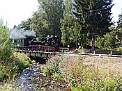 ID: 209: DR 99 1590-1 / Schmalzgrube / 04.08.2018