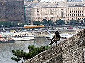 ID: 209: Burgpalast / Budapest / 23.08.2018