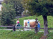 ID: 209: Almabtrieb / Kruen / 15.09.2018