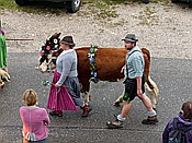 ID: 209: Almabtrieb / Kruen / 15.09.2018