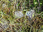 Foto SP_2018_09465: Wanderung / Elmau - Mittenwald / 16.09.2018