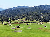 Foto SP_2018_09483: Wanderung / Schmalensee - Buckelwiesen - Kruen / 17.09.2018