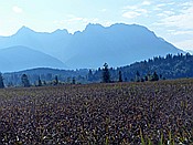 ID: 209: Rundwanderung / Kruen / 18.09.2018