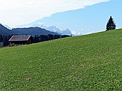ID: 209: Rundwanderung / Kruen / 18.09.2018