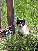 ID: 209: Rundwanderung / Kruen / 18.09.2018