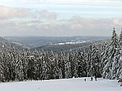 Foto SP_2019_02202: Schneelandschaft / Schmuecke / 04.02.2019