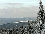 ID: 209: Schneelandschaft / Schmuecke / 04.02.2019