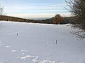 ID: 209: Umgebung / Neustadt am Rennsteig / 04.02.2019