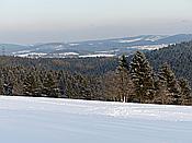 Foto SP_2019_02215: Umgebung / Neustadt am Rennsteig / 04.02.2019