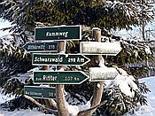 ID: 209: Umgebung / Neustadt am Rennsteig / 04.02.2019