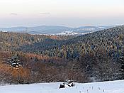 Foto SP_2019_02220: Umgebung / Neustadt am Rennsteig / 04.02.2019