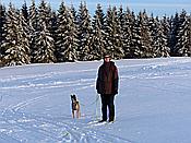 Foto SP_2019_02227: Umgebung / Neustadt am Rennsteig / 04.02.2019