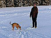 Foto SP_2019_02229: Umgebung / Neustadt am Rennsteig / 04.02.2019