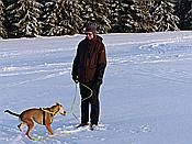 ID: 209: Umgebung / Neustadt am Rennsteig / 04.02.2019