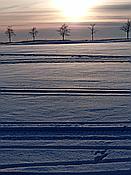 Foto SP_2019_02234: Umgebung / Neustadt am Rennsteig / 04.02.2019