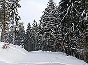 Foto SP_2019_02238: Schneewanderung / Neustadt am Rennsteig / 05.02.2019