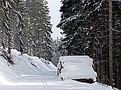 ID: 209: Schneewanderung / Neustadt am Rennsteig / 05.02.2019