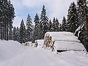 Foto SP_2019_02247: Schneewanderung / Neustadt am Rennsteig / 05.02.2019