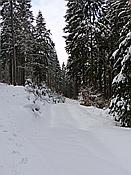 ID: 209: Schneewanderung / Neustadt am Rennsteig / 05.02.2019