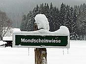 Foto SP_2019_02250: Schneewanderung / Neustadt am Rennsteig / 05.02.2019