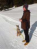 ID: 209: Schneewanderung / Neustadt am Rennsteig / 06.02.2019