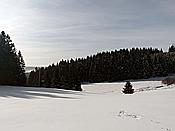 ID: 209: Schneewanderung / Neustadt am Rennsteig / 06.02.2019