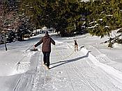 Foto SP_2019_02260: Schneewanderung / Neustadt am Rennsteig / 06.02.2019