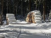 Foto SP_2019_02262: Schneewanderung / Neustadt am Rennsteig / 06.02.2019