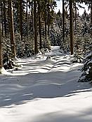 Foto SP_2019_02266: Schneewanderung / Neustadt am Rennsteig / 06.02.2019