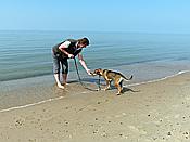 Foto SP_2019_06107: Strand / Pobierowo / 01.06.2019