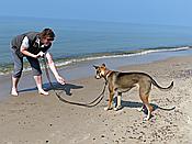 ID: 209: Strand / Pobierowo / 01.06.2019