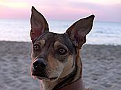 ID: 209: Abendlicht / Pobierowo / 02.06.2019