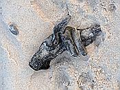 ID: 209: Abendlicht / Pobierowo / 02.06.2019