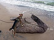 ID: 209: Strand / Pobierowo / 07.06.2019