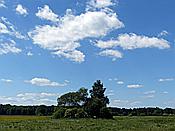 Foto SP_2019_06400: Wanderung / Talty - Skorupki / 09.06.2019