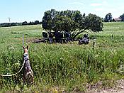 Foto SP_2019_06422: Wanderung / Talty - Skorupki / 09.06.2019