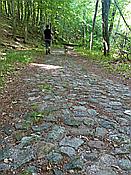 ID: 209: Wanderung / Krutyn / 11.06.2019