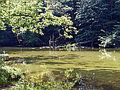 ID: 209: Wanderung / Krutyn / 11.06.2019