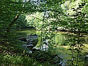 ID: 209: Wanderung / Krutyn / 11.06.2019