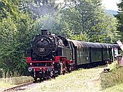 Foto SP_2019_07561: 262 BB / Lausheim-Blumegg / 26.07.2019