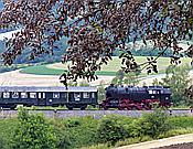 Foto SP_2019_07721: 262 BB / Epfenhofen / 27.07.2019