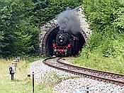Foto SP_2019_07845: 262 BB / Grimmelshofen / 27.07.2019