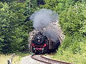 Foto SP_2019_07849: 262 BB / Grimmelshofen / 27.07.2019