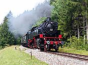 Foto SP_2019_07865: 262 BB / Grimmelshofen / 27.07.2019